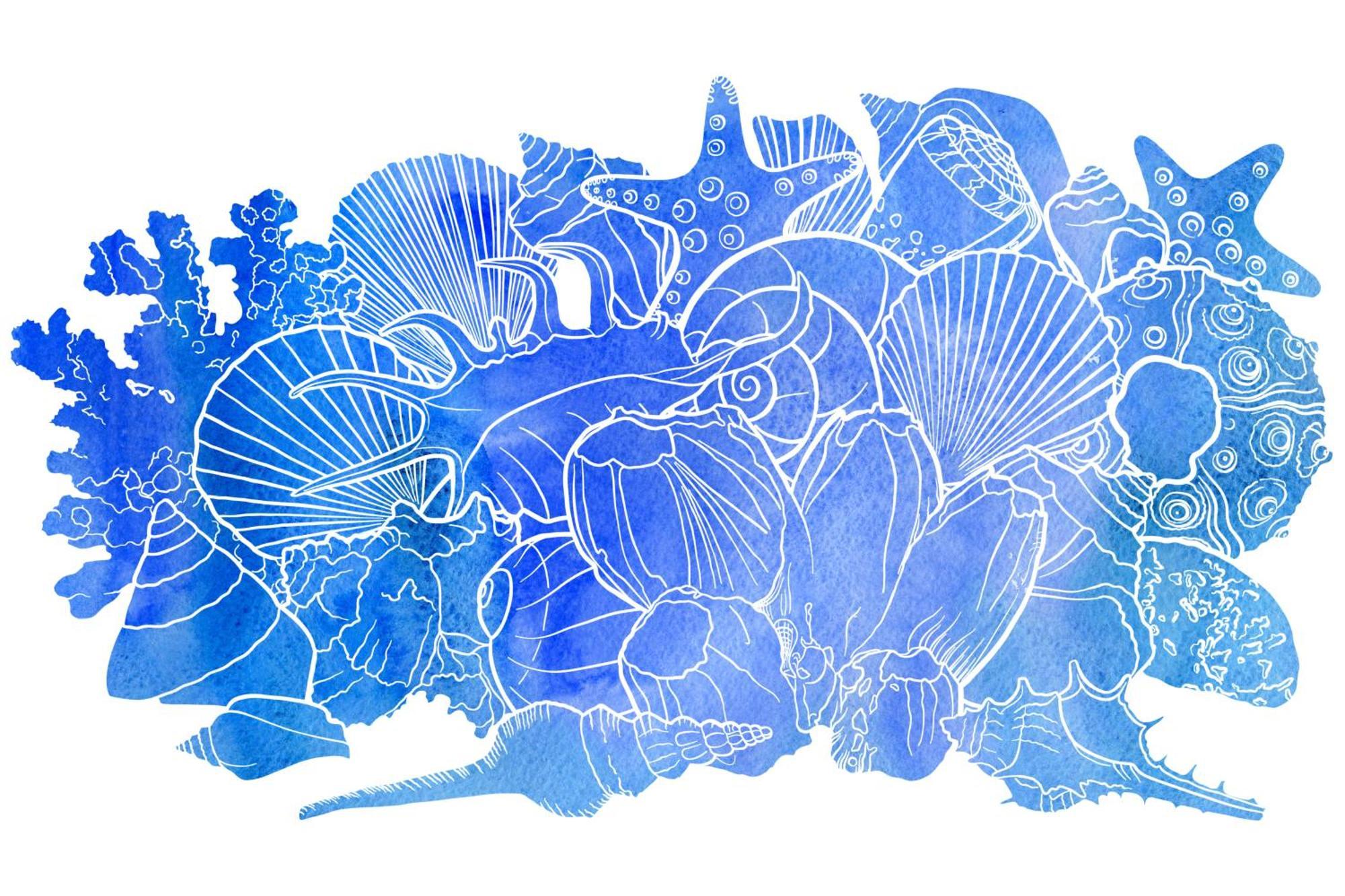 Blue & White Velvet 20M From The Beach Danilia Luaran gambar